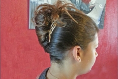 chignon-marion